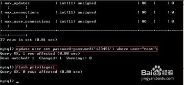 MySQL密码破解新方法：无需重启数据库服务的实用技巧