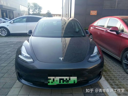喝毛豆，送特斯拉Model 3？茶饮圈的这波操作让我惊呆了