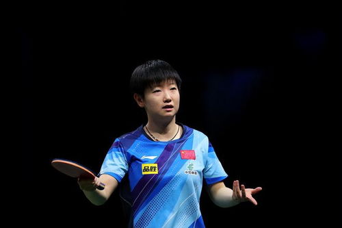 王楚钦工作的一天：从赛场到日常的点滴