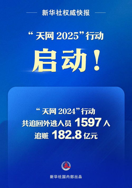 亲历“天网2025行动”：一场网络生态的深度净化之旅