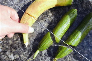 骑友险被风筝线“割头”！成都环城绿道现风筝“杀手”