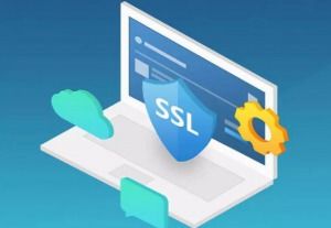 如何选择合适的SSL服务器证书？让小张带你一探究竟