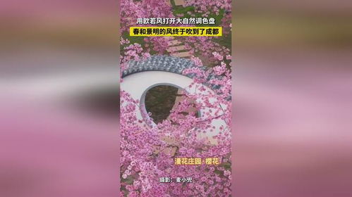 全国文旅刮起了欧若风：一场春日的奇妙之旅