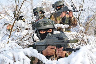 从“战术上的勤奋”到“战略上的清醒”，我的成长领悟