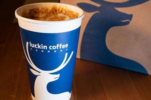 深度揭秘：千禾味业“零添加”罗生门与茉莉奶白的塑料袋风波