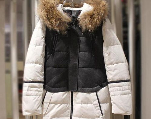 羽绒服干洗更好？真相揭秘，别再被谣言误导了！