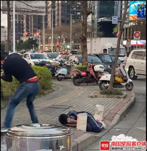 蜂群为何攻击人？14岁男孩被蜜蜂围攻，路人挺身相救！