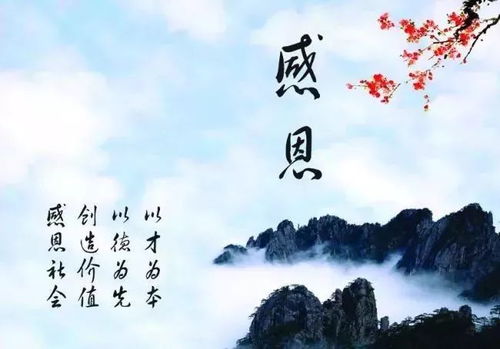 在觉知与感恩中找到生活的真谛