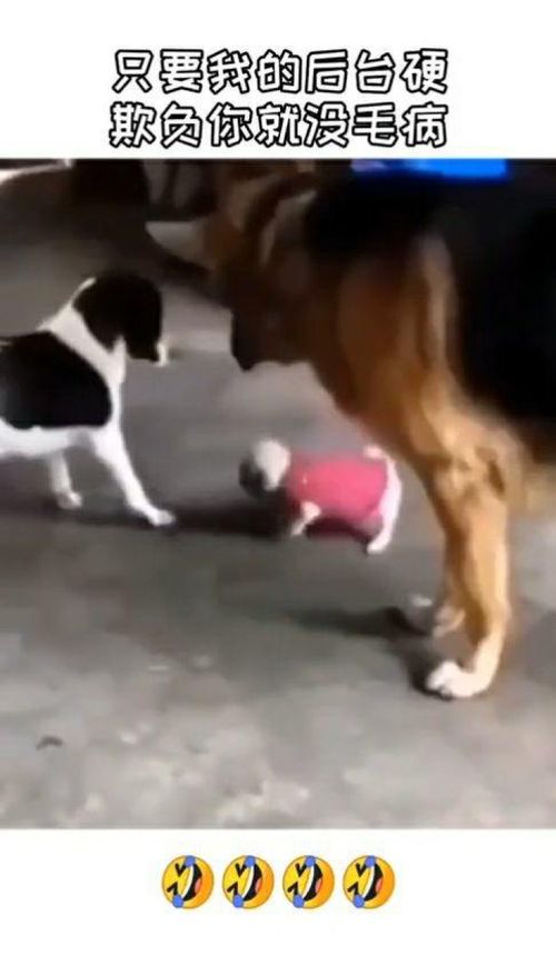 只要后台够硬，简书的极简主义还能走多远？