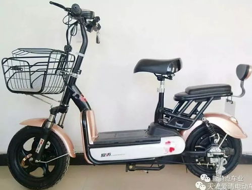 格力辟谣推出999元电动车：董明珠的战略布局究竟是什么？