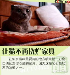 不知道说什么的时候，就都说赞美的话：让生活充满温暖与善意