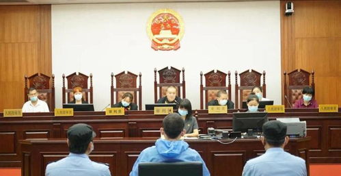 破碎家庭的痛：威海男童致死案庭审倒计时，社会之殇如何被撕开？