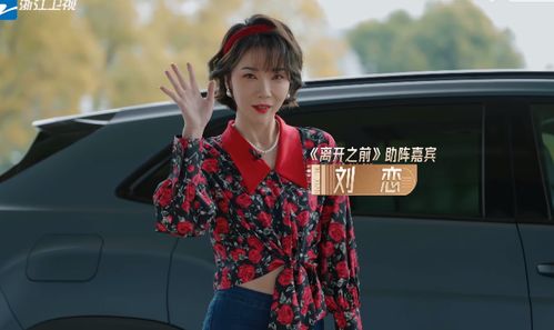 刘恋首次个人巡演：一场关于音乐与灵魂的奇妙旅程