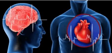 身体出现这些信号需警惕心源性猝死