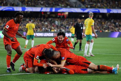 国足主场迎战澳大利亚：杭州之夜，球迷的狂欢与期待