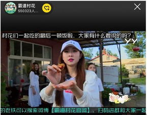 直播吧！我的村花大人：一场乡村与现代的碰撞