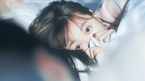 秋枫满眼皆是羽：一场与秋天的浪漫邂逅