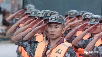 幼儿园小姑娘愣是把兵哥哥喊害羞了：纯真童心与军人情怀的碰撞