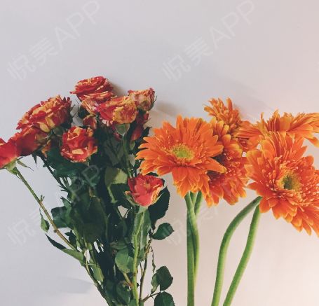 女子花12万做“私密修复”昏迷不醒：谁来为医美行业的乱象买单？