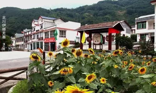 探访那些美得让人心醉的民族村寨