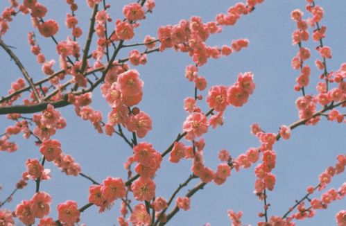 揭秘徐振轩的桃运人生：从平凡到闪耀的蜕变之旅