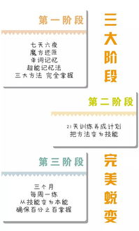 走进记忆方法特训营：解锁大脑潜能的奇妙之旅