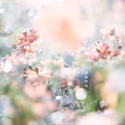 我们彼此有牵挂，但没有牵绊：一场关于自由与情感的深刻领悟