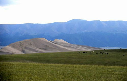 亲历西藏日喀则定日地震：那些震撼心灵的瞬间