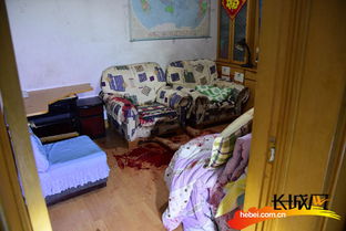 出租屋藏匿的死亡谜团：一场精心策划的杀戮