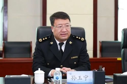 震惊！海关总署原副署长孙玉宁被逮捕，背后真相大揭秘