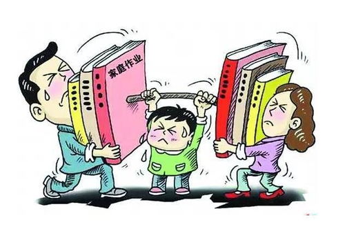 长沙人才政策与教育公平的平衡之道