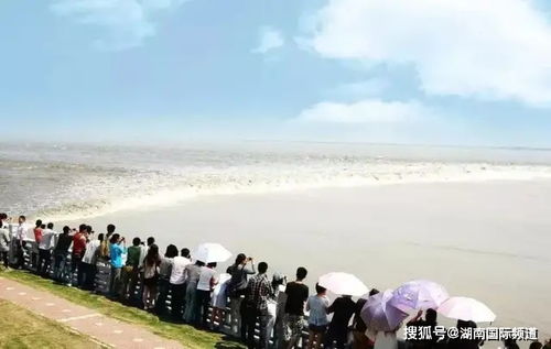 博鳌观潮：从千年渔村到现代海港，探寻未来生活