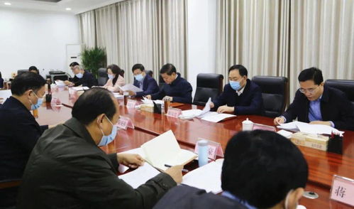 深度参与X市直机关学习教育方案：一场深刻的政治洗礼