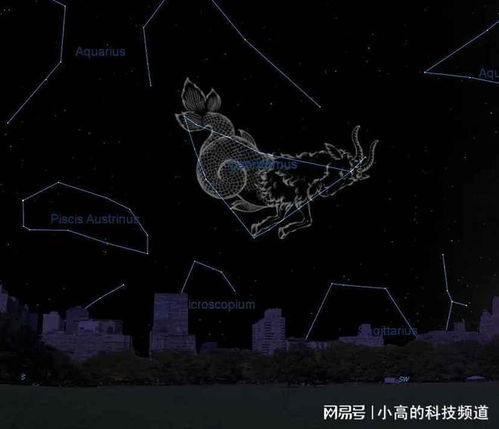 巴纳姆效应：为什么我们会轻易相信那些‘量身定制’的描述？