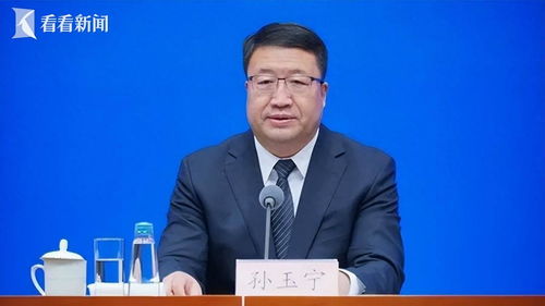 深度解析：海关总署原副署长孙玉宁被逮捕事件