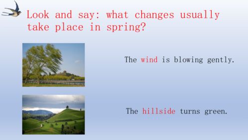 春天的脚步近了，我与Spring的故事