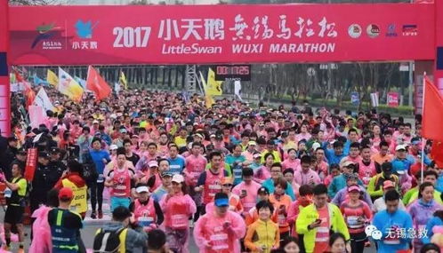 无锡马拉松承办单位回应野鸳鸯事件：一场关于文明与责任的对话