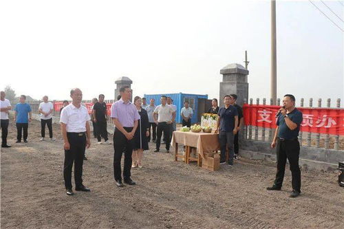 抓牢党建引擎，激活乡村振兴的无限可能