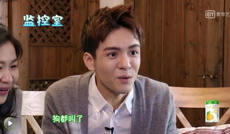 刘涛眼睛在哭脸在笑：一场关于演技与生活的深度探讨