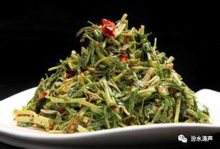 香椿原来有这么多吃法，我教你解锁春天的味道