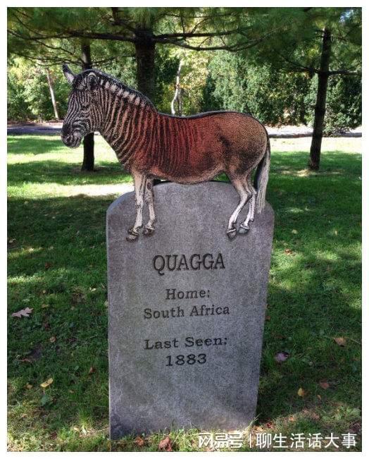 探访一座有偏见的动物园：维C视角下的动物世界