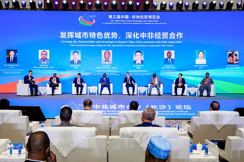 在共创美好未来的道路上，我见证了一场非凡的旅程