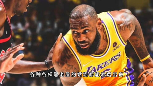 输球与看球：一场关于热爱的旅程