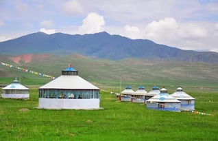 140元搭了个蒙古包，他的露营故事让人惊叹