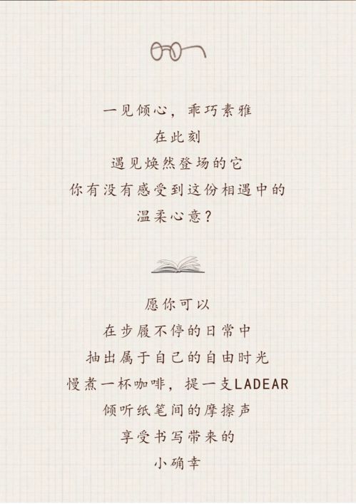 2025年的小确幸：平凡生活中的点滴温暖