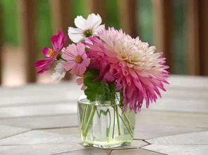 春天里的科技奇遇：发电机变身花朵形状，引领未来设计潮流