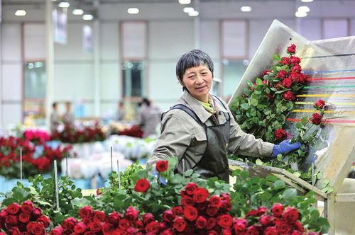 让“美丽产业”绽放幸福之花