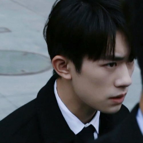 和易烊千玺一起探寻牛奶文明的奇妙旅程