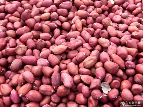 全国已春播粮食3500多万亩：从田野到餐桌的希望之旅