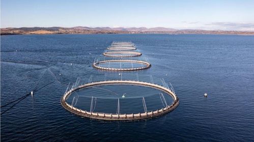 去了挪威才知道的那些奇妙事